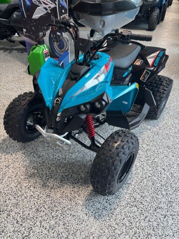 New 2026 Can-Am Renegade 110