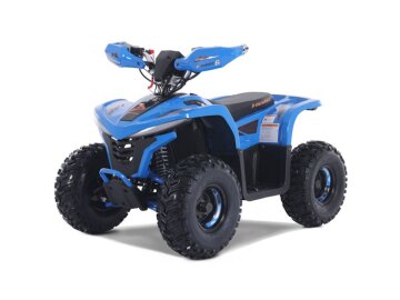 New 2026 Denago E-Hawk 6