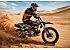 New 2026 Denago MX1