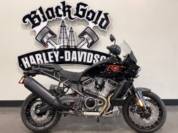 2026 Harley-Davidson Pan America Special