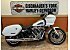 New 2026 Harley-Davidson Softail Low Rider ST