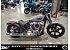 New 2026 Harley-Davidson Softail Street Bob
