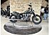 New 2026 Harley-Davidson Softail