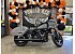 New 2026 Harley-Davidson Softail Low Rider ST