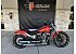 2026 Harley-Davidson Softail Breakout