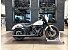 New 2026 Harley-Davidson Softail
