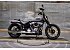 New 2026 Harley-Davidson Softail