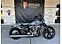 2026 Harley-Davidson Softail Street Bob