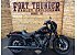 2026 Harley-Davidson Softail Low Rider S