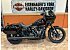 New 2026 Harley-Davidson Softail Low Rider ST