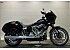New 2026 Harley-Davidson Softail Low Rider ST
