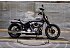 New 2026 Harley-Davidson Softail