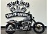 2026 Harley-Davidson Softail Street Bob