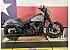 New 2026 Harley-Davidson Softail