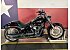 New 2026 Harley-Davidson Softail