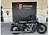 2026 Harley-Davidson Softail Street Bob