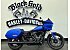 2026 Harley-Davidson Softail Low Rider ST