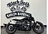 2026 Harley-Davidson Sportster S