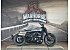 New 2026 Harley-Davidson Sportster S
