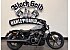 2026 Harley-Davidson Sportster Nightster