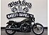 2026 Harley-Davidson Sportster Nightster Special