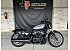2026 Harley-Davidson Sportster Nightster Special