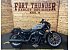 2026 Harley-Davidson Sportster Nightster Special