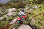 Thumbnail Photo 5 for New 2026 Honda CRF250R X