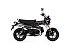 New 2026 Honda Dax 125