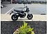 New 2026 Honda Dax 125