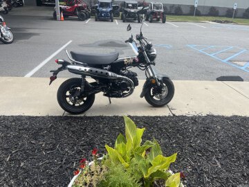 New 2026 Honda Dax 125