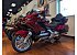 New 2026 Honda Gold Wing Tour Automatic DCT