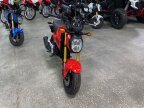 Thumbnail Photo 1 for New 2026 Honda Grom
