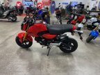 Thumbnail Photo 2 for New 2026 Honda Grom