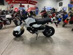 Thumbnail Photo 3 for New 2026 Honda Grom ABS