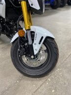 Thumbnail Photo 2 for New 2026 Honda Grom ABS