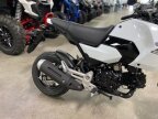 Thumbnail Photo 1 for New 2026 Honda Grom ABS
