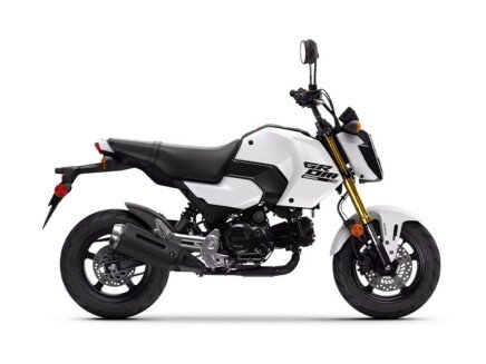 Photo 1 for New 2026 Honda Grom