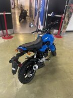 Thumbnail Photo 3 for New 2026 Honda Grom