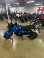 Thumbnail Photo 4 for New 2026 Honda Grom