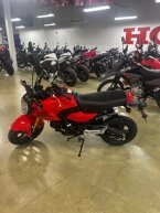 Thumbnail Photo 4 for New 2026 Honda Grom