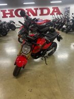Thumbnail Photo 2 for New 2026 Honda Grom