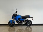 Thumbnail Photo 6 for New 2026 Honda Grom