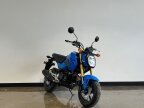 Thumbnail Photo 2 for New 2026 Honda Grom