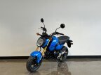 Thumbnail Photo 5 for New 2026 Honda Grom