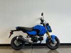 Thumbnail Photo 1 for New 2026 Honda Grom