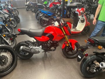 New 2026 Honda Grom