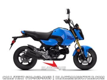 New 2026 Honda Grom