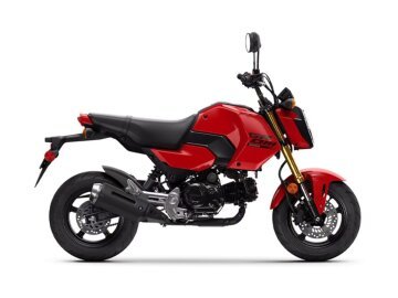 New 2026 Honda Grom