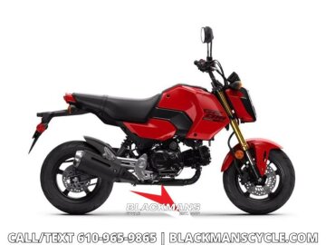 New 2026 Honda Grom